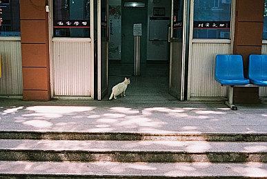 英国11月游戏销售数据公布 《使命召唤19》表现抢眼